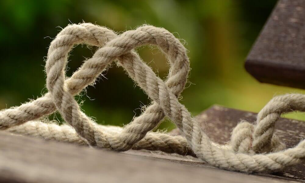 Cheating Statistics 2025: All Statistics You're Interested in Cheating 